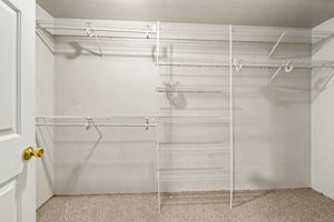  Photo 53