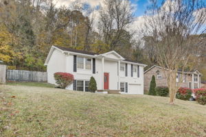 Holt Valley Rd-001