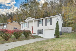 Holt Valley Rd-004