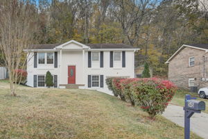 Holt Valley Rd-002