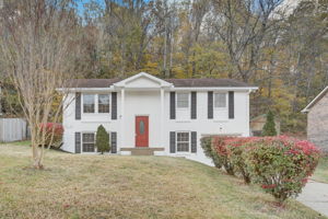 Holt Valley Rd-003