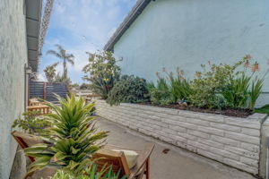 Vine St-041