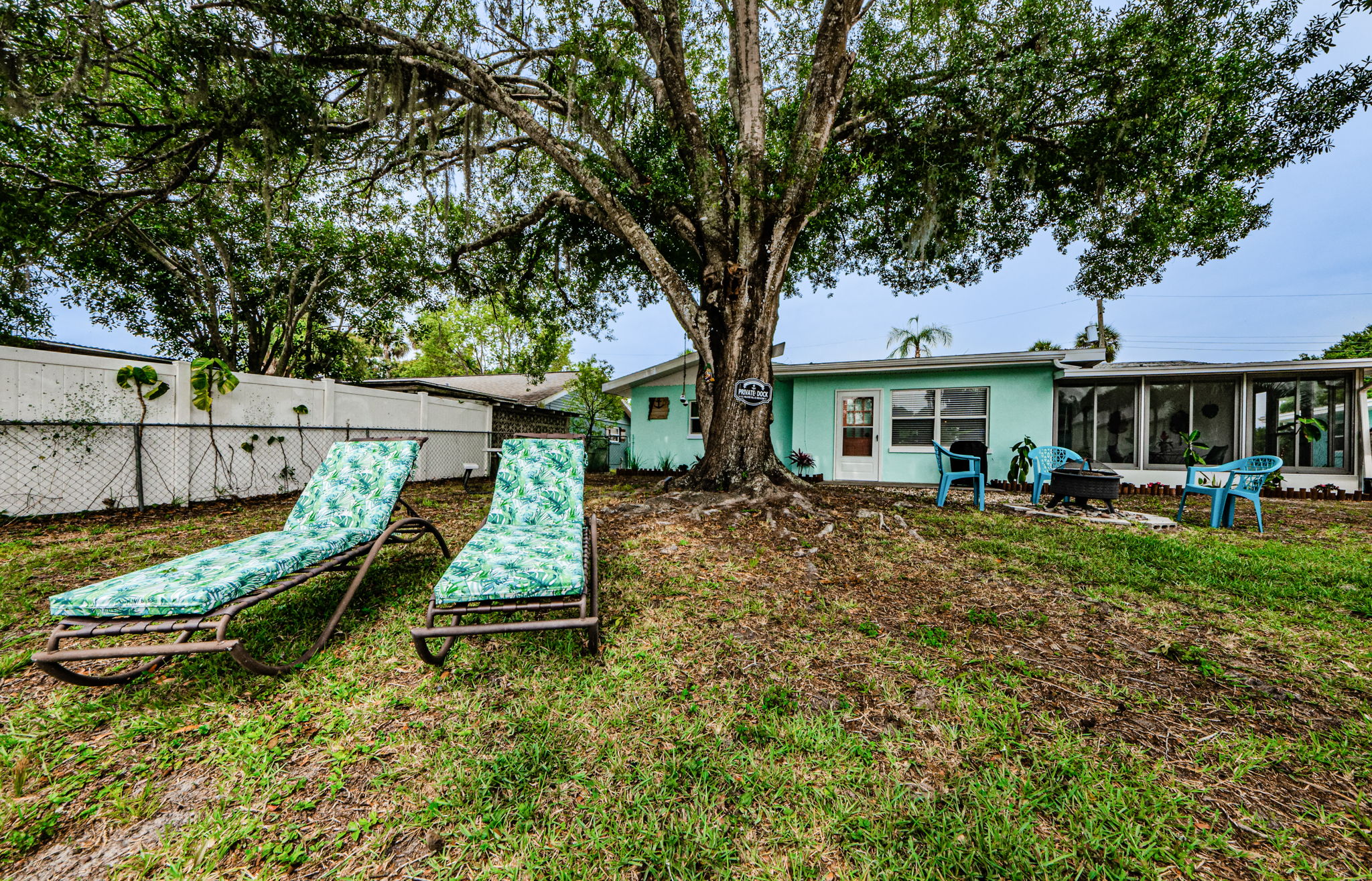 Backyard 3