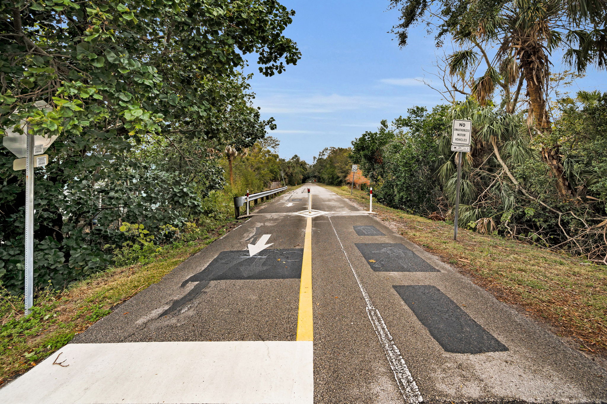 Pinellas Trail1