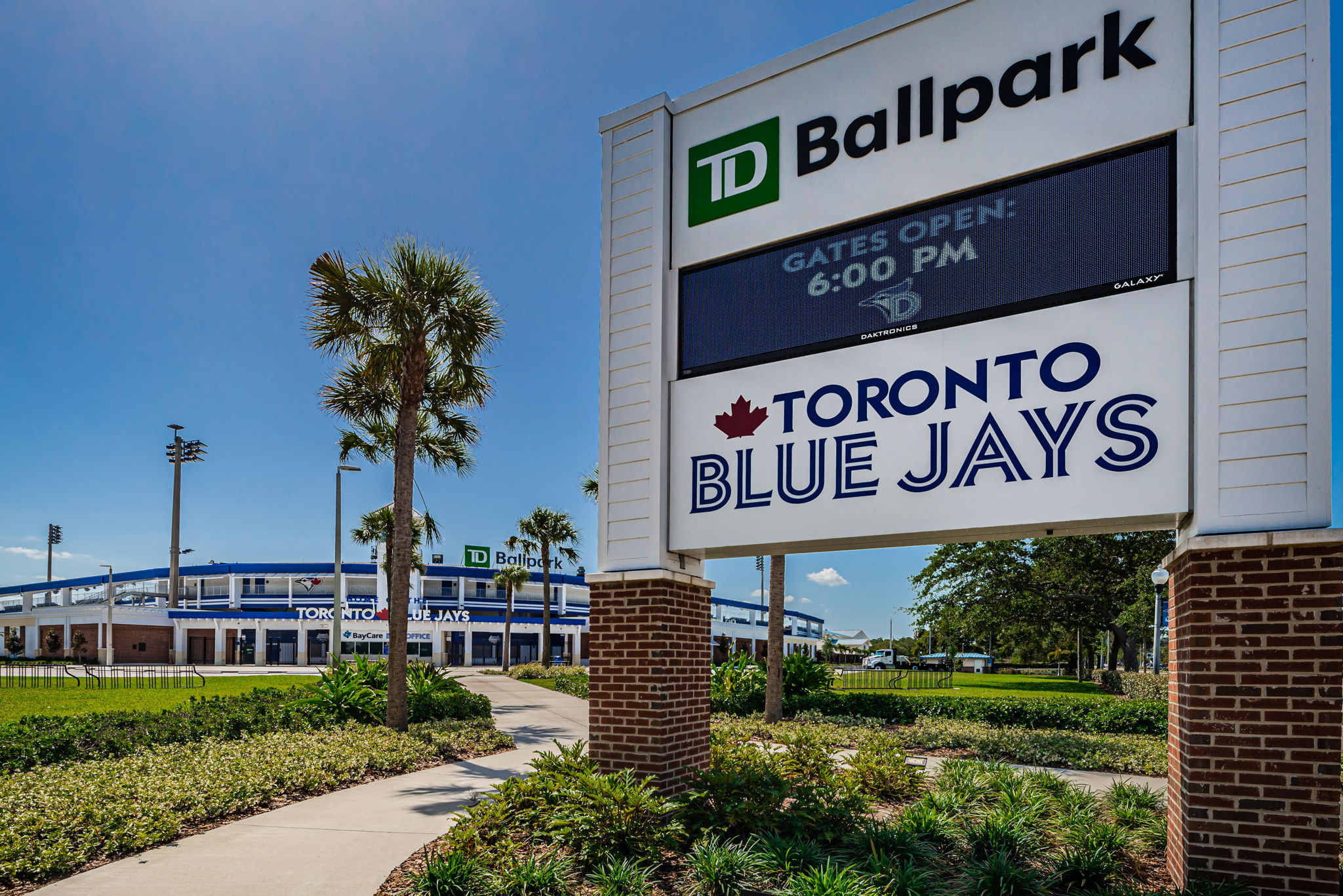 143-Minor League Baseball Team for Toronto Blue Jays