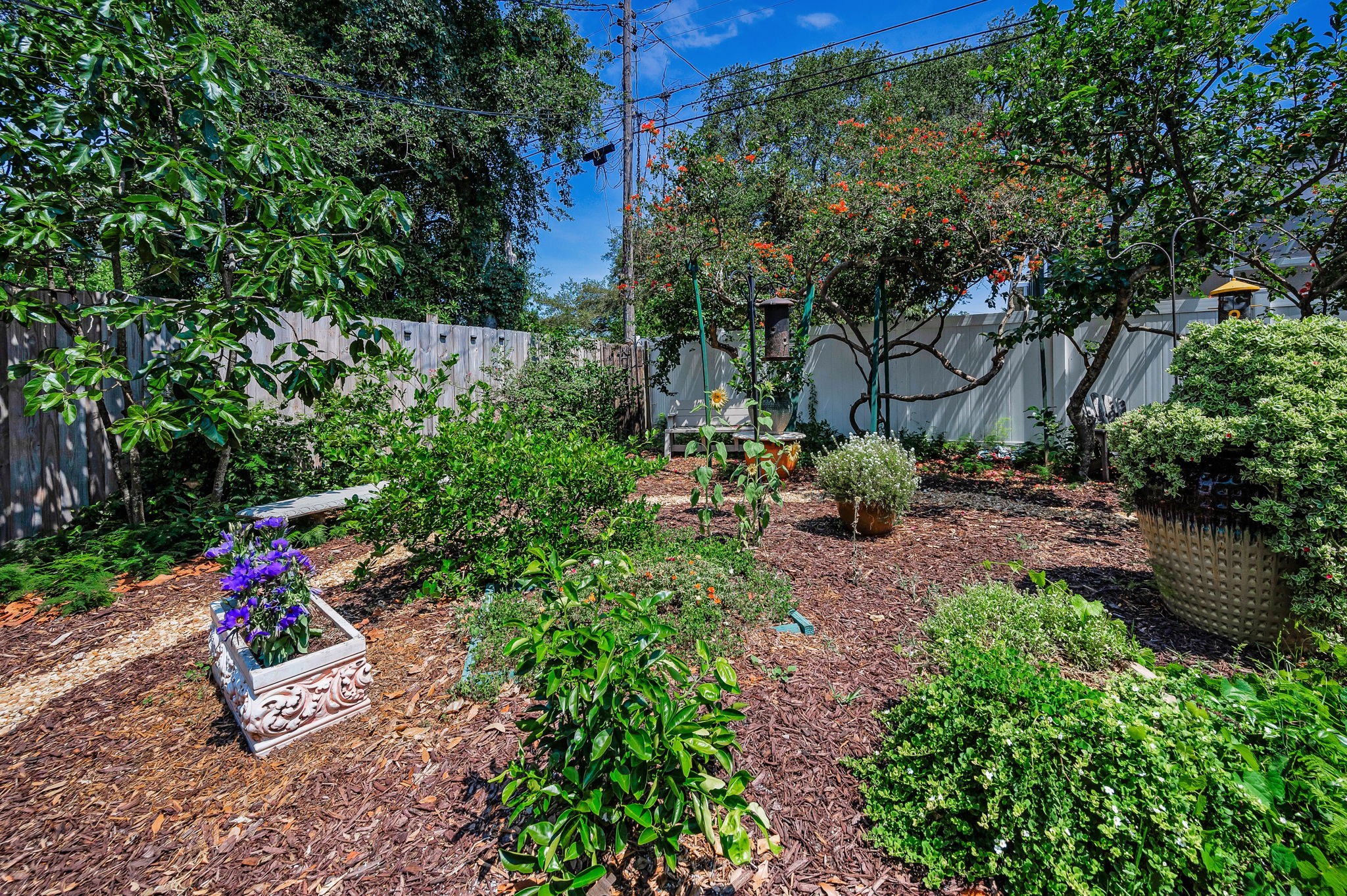 Backyard58