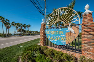 3-Dunedin Causeway