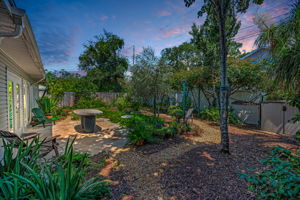 Backyard50