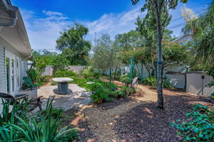 Backyard50