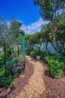 Backyard51