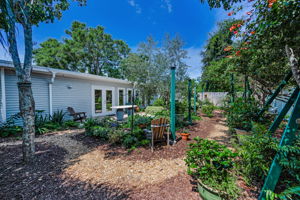 Backyard52