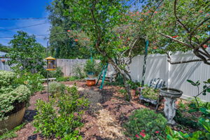 Backyard53