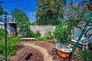 Backyard54