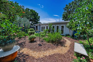 Backyard55