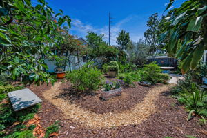 Backyard56