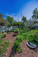 Backyard57