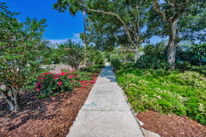 Frontyard50