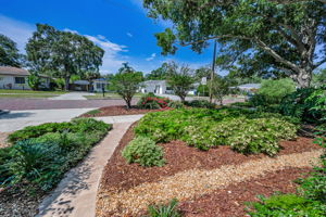 Frontyard54