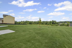  Photo 37
