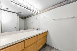 Primary Bathroom 1a