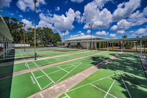 48-Clubhouse Shuffleboard