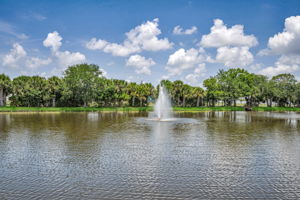 53-Pond