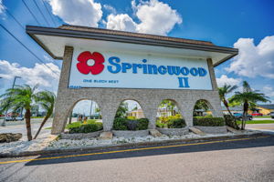 56-Springwood II