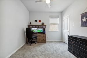 5461Peregrine_010