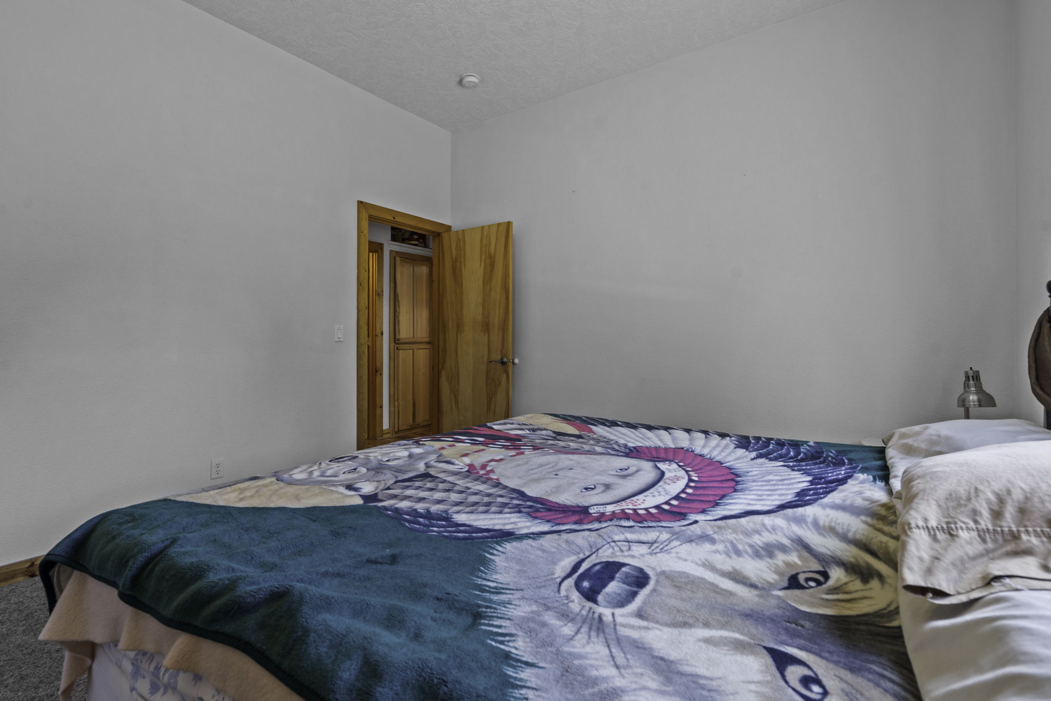  Photo 38