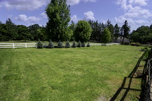  Photo 52
