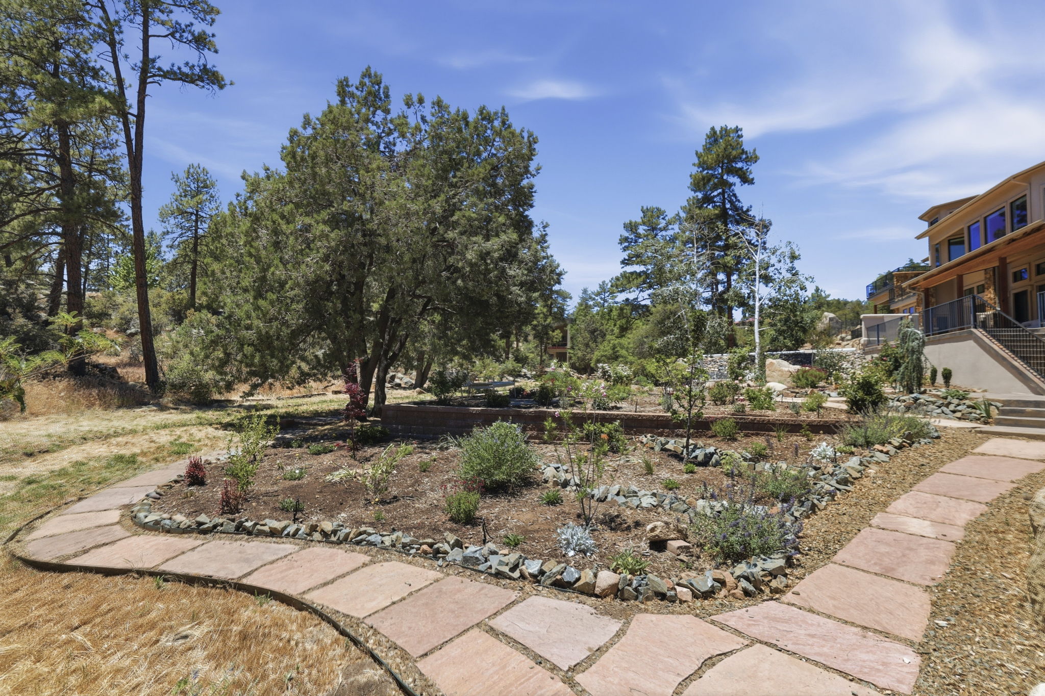 Front yard 4