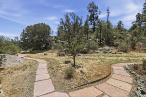 Front yard 3