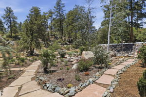 Front yard 5