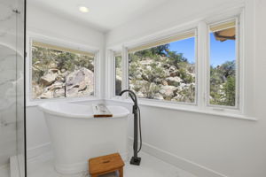 Primary Bathroom 2