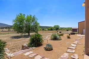 Back Patio View (2)