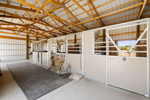 Barn (3)