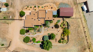 Birds Eye