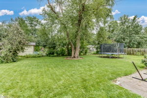  Photo 31