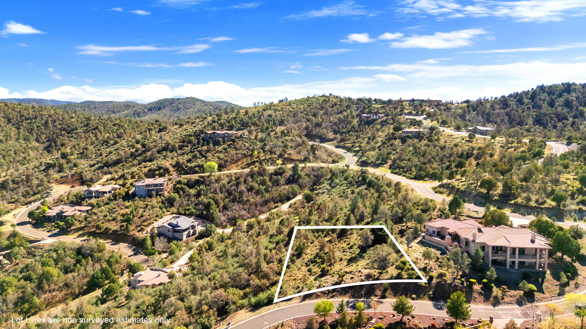 Aerial (1) Lot Lines