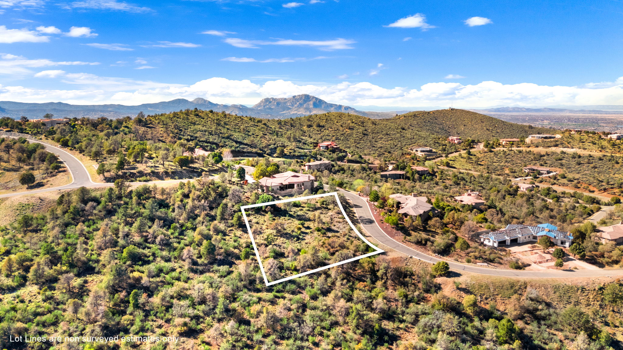 Aerial (3) Lot Lines