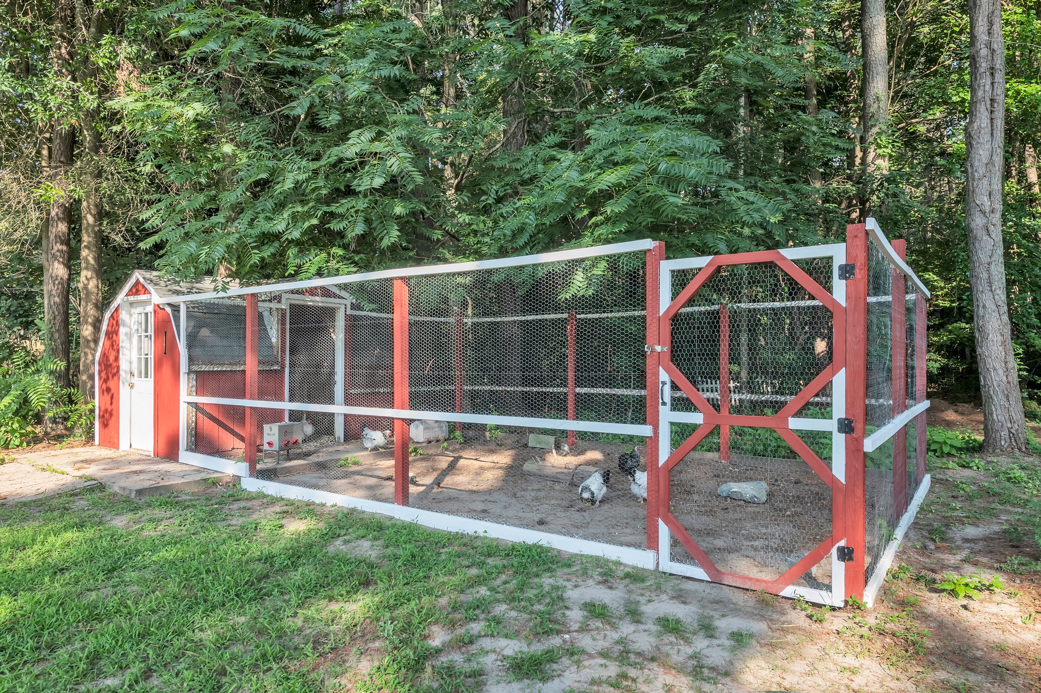  Photo 11