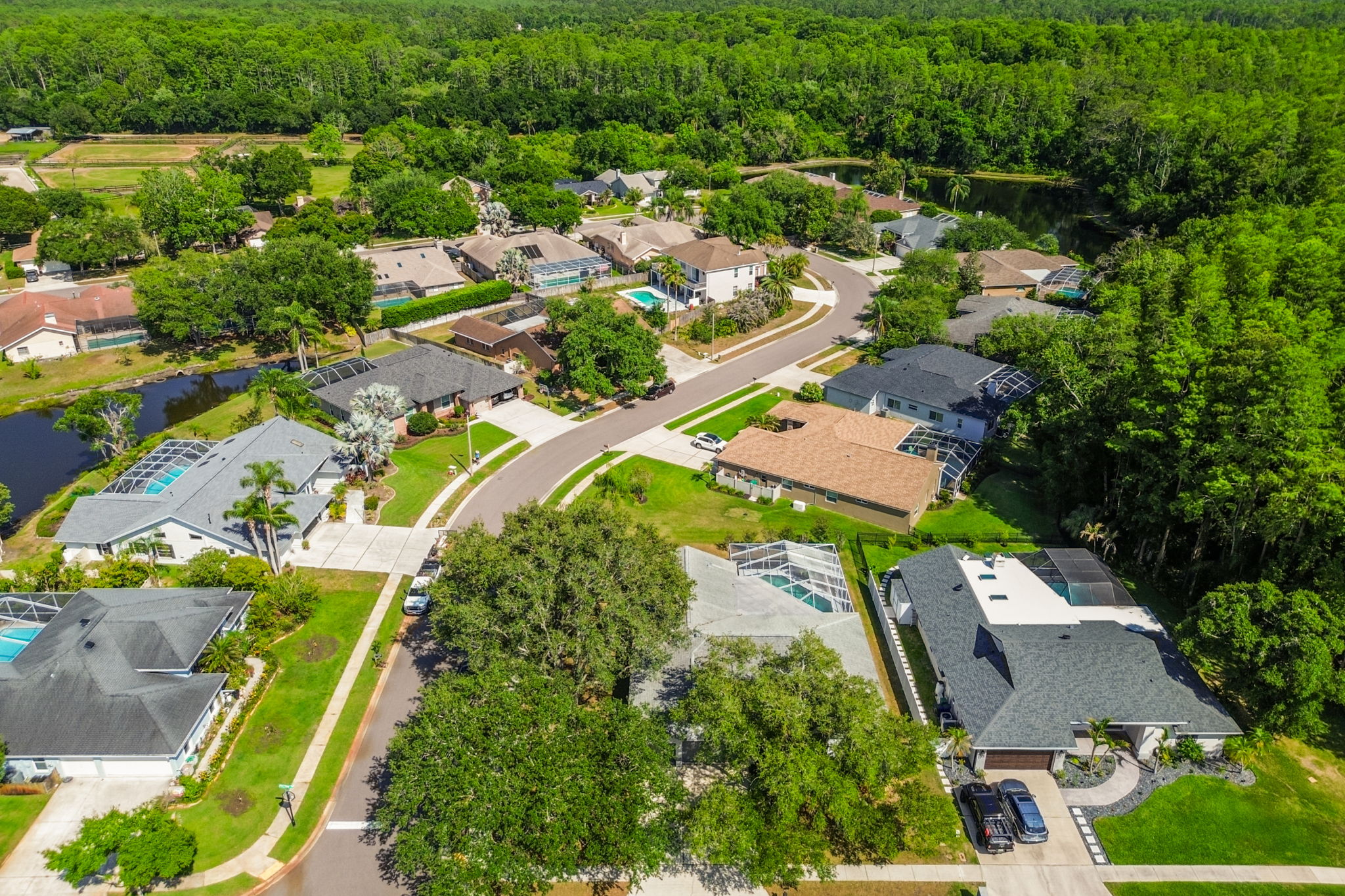 DJI_0079