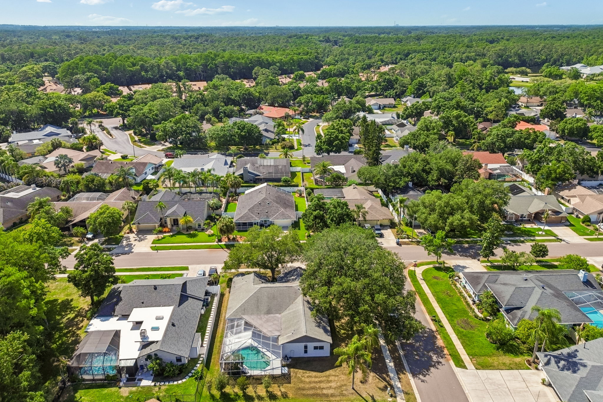 DJI_0091