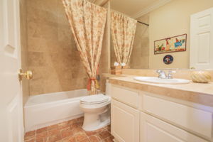 Lower Level - Bathroom