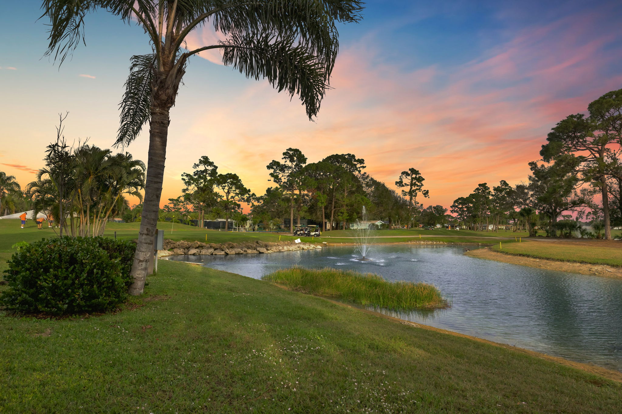 Backyard-DuskConversion