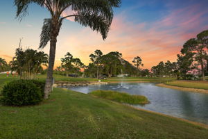 Backyard-DuskConversion