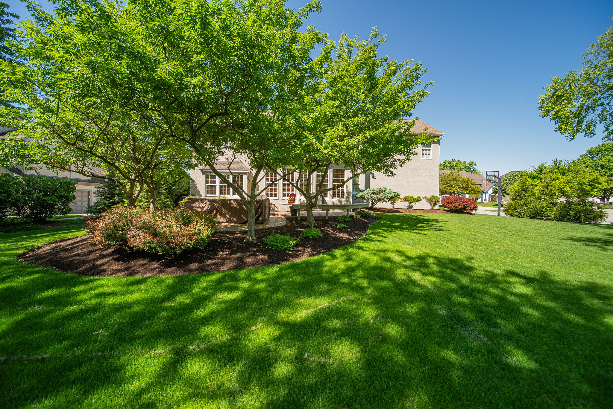 B.F. - 5498 Fawnbrook Ln, Dublin-4