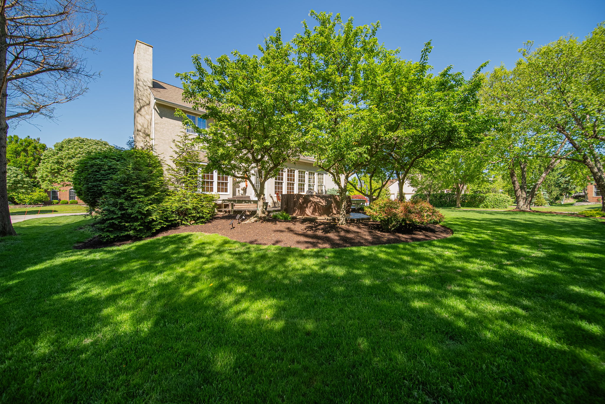 B.F. - 5498 Fawnbrook Ln, Dublin-72