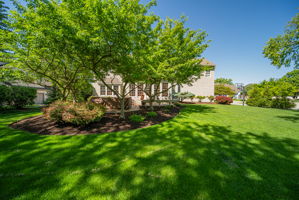 B.F. - 5498 Fawnbrook Ln, Dublin-4