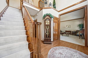 B.F. - 5498 Fawnbrook Ln, Dublin-9